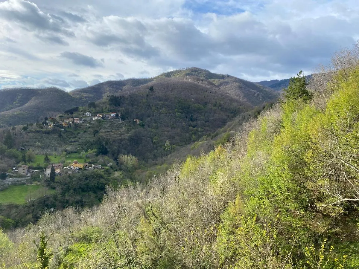 Casa Vacanze Giuliana Villore Italy